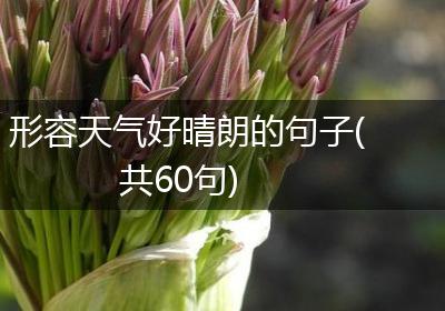 形容天气好晴朗的句子(共60句)