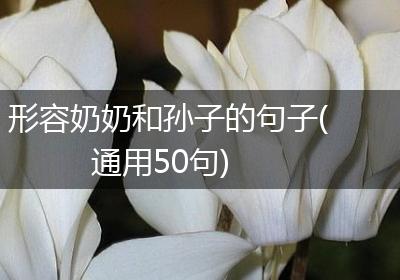 形容奶奶和孙子的句子(通用50句)