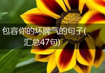 包容你的坏脾气的句子(汇总47句)