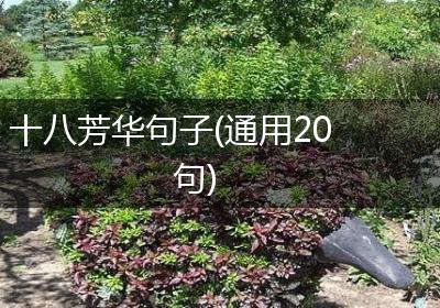 十八芳华句子(通用20句)