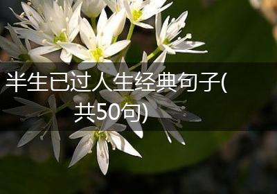 半生已过人生经典句子(共50句)