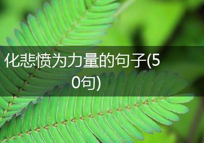 化悲愤为力量的句子(50句)
