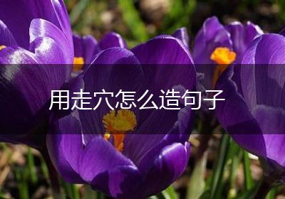 用走穴怎么造句子