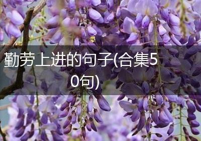 勤劳上进的句子(合集50句)