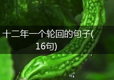 十二年一个轮回的句子(16句)