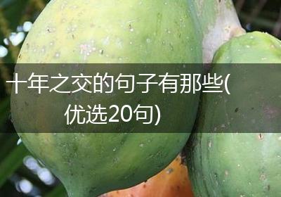 十年之交的句子有那些(优选20句)