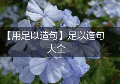 【用足以造句】足以造句大全