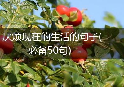 厌烦现在的生活的句子(必备50句)