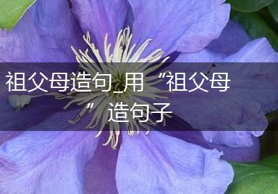 祖父母造句_用“祖父母”造句子