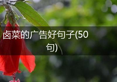 卤菜的广告好句子(50句)