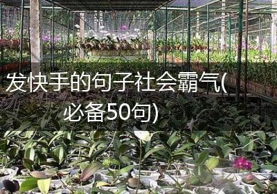 发快手的句子社会霸气(必备50句)