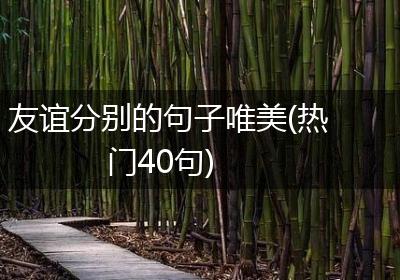 友谊分别的句子唯美(热门40句)