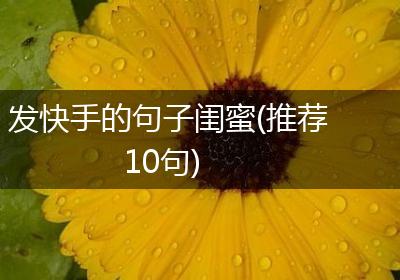 发快手的句子闺蜜(推荐10句)