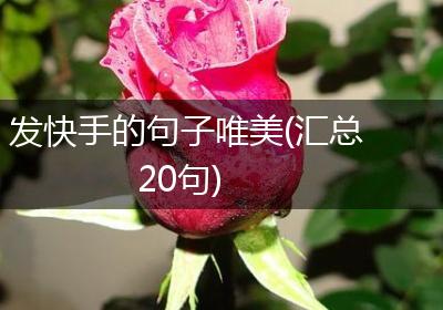 发快手的句子唯美(汇总20句)