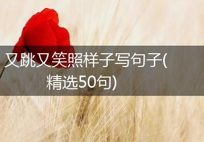又跳又笑照样子写句子(精选50句)