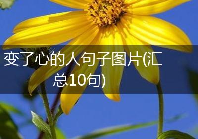 变了心的人句子图片(汇总10句)