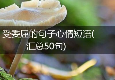 受委屈的句子心情短语(汇总50句)
