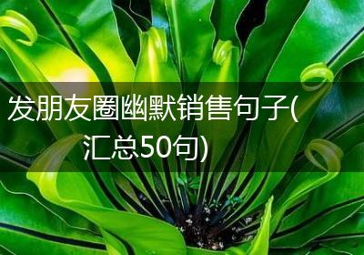 发朋友圈幽默销售句子(汇总50句)