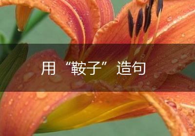用“鞍子”造句