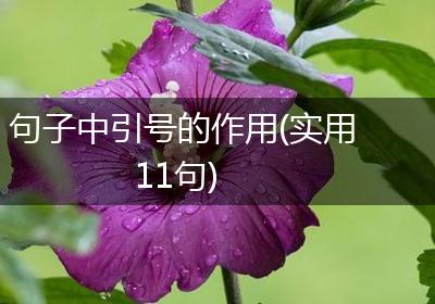 句子中引号的作用(实用11句)