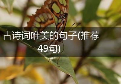 古诗词唯美的句子(推荐49句)