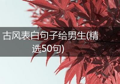 古风表白句子给男生(精选50句)