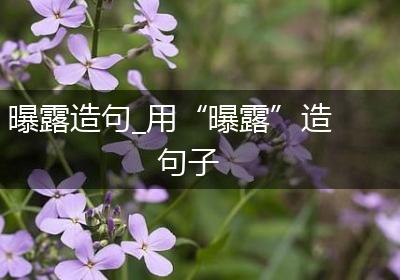 曝露造句_用“曝露”造句子