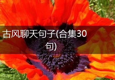古风聊天句子(合集30句)