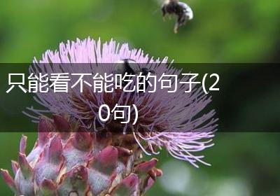 只能看不能吃的句子(20句)