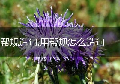 帮规造句,用帮规怎么造句