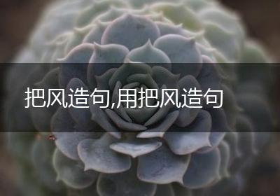 把风造句,用把风造句