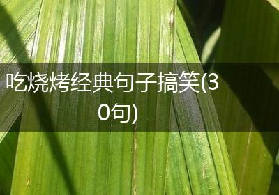 吃烧烤经典句子搞笑(30句)