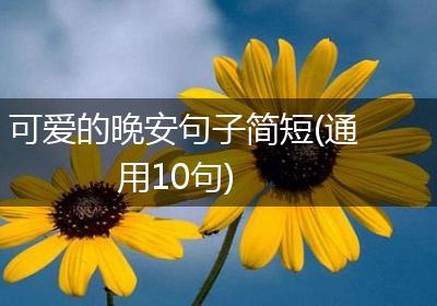 可爱的晚安句子简短(通用10句)