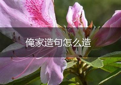 俺家造句怎么造