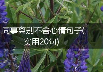 同事离别不舍心情句子(实用20句)