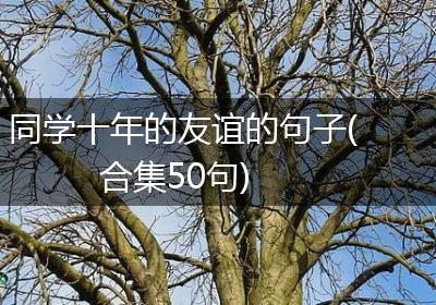 同学十年的友谊的句子(合集50句)