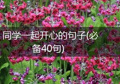 同学一起开心的句子(必备40句)