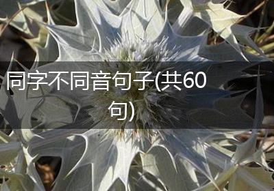 同字不同音句子(共60句)