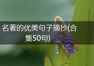 名著的优美句子摘抄(合集50句)