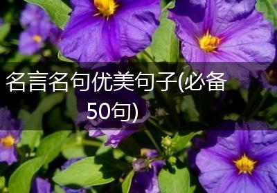 名言名句优美句子(必备50句)