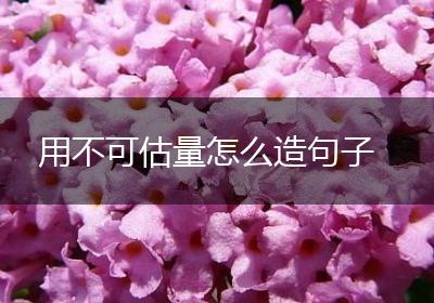 用不可估量怎么造句子