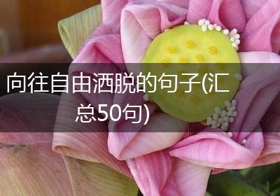 向往自由洒脱的句子(汇总50句)