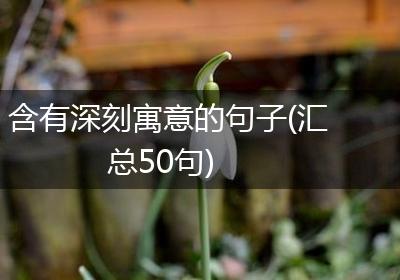 含有深刻寓意的句子(汇总50句)