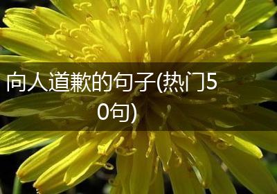 向人道歉的句子(热门50句)