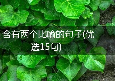含有两个比喻的句子(优选15句)
