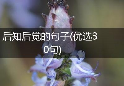 后知后觉的句子(优选30句)