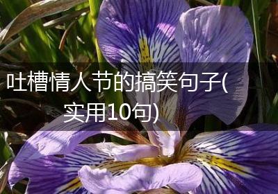 吐槽情人节的搞笑句子(实用10句)
