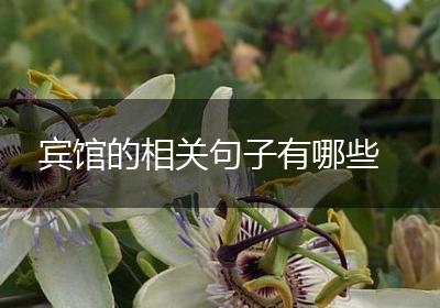 宾馆的相关句子有哪些