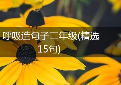 呼吸造句子二年级(精选15句)