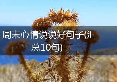 周末心情说说好句子(汇总10句)